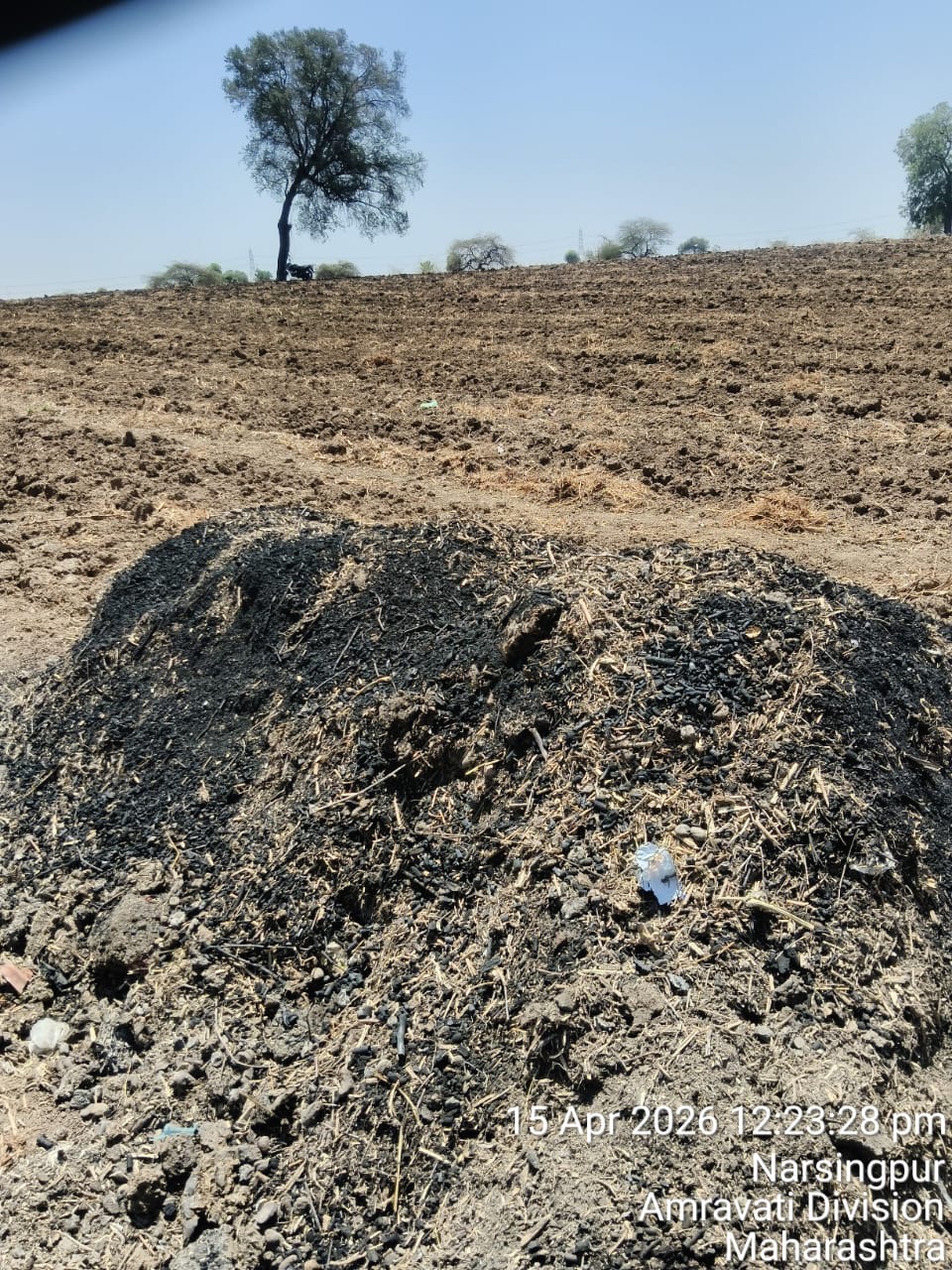 Biochar Ready for Field Use