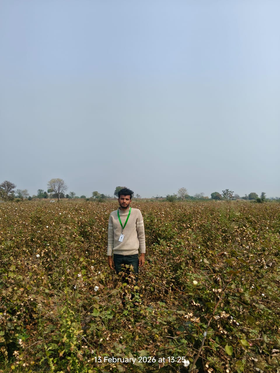 Farmer Field Visit — Cotton Crop